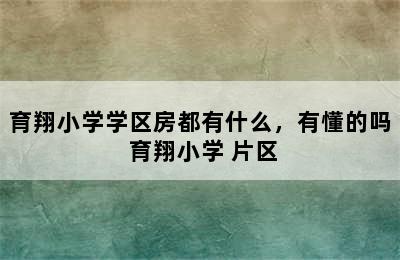 育翔小学学区房都有什么，有懂的吗 育翔小学 片区